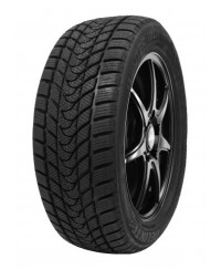 Delinte Winter WD1 195/60 R15 88H